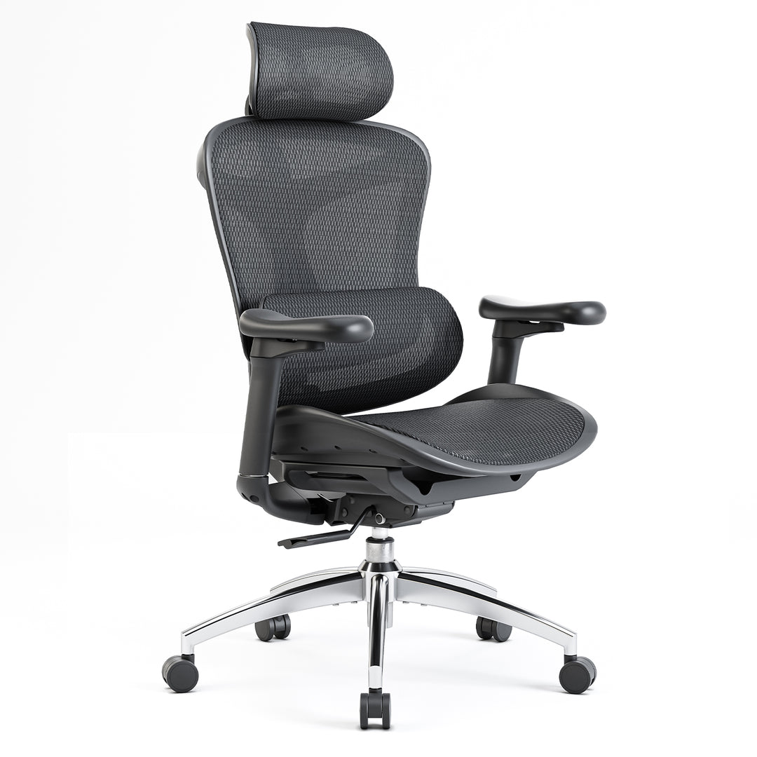 SIHOO Doro-C300 Sedia ergonomica per ufficio