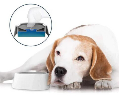 CIOTOLA PER L'ACQUA A PROVA DI SCHIZZI