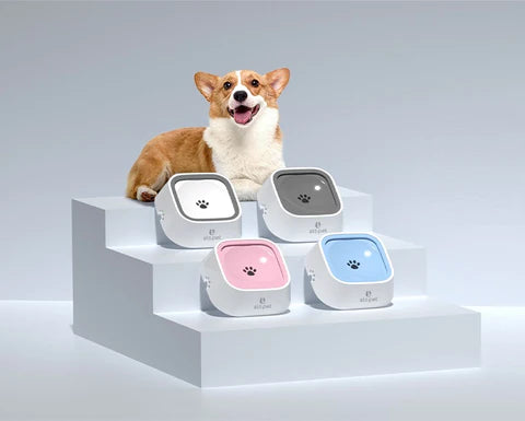 CIOTOLA PER L'ACQUA A PROVA DI SCHIZZI