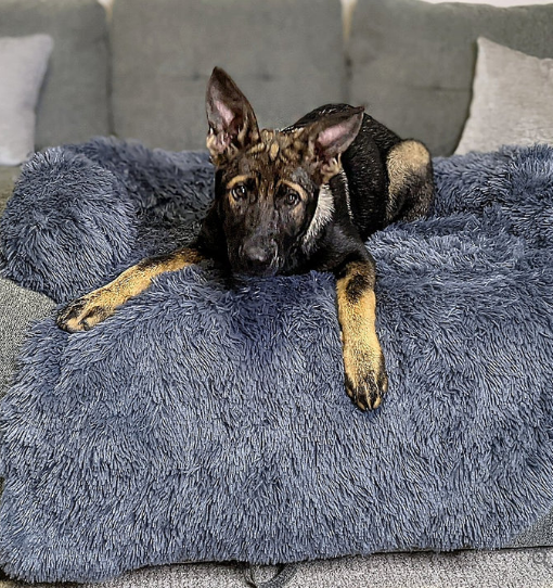 Protezione lenitiva dei mobili