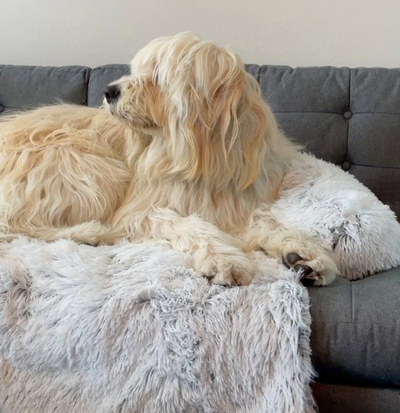 Protezione lenitiva dei mobili