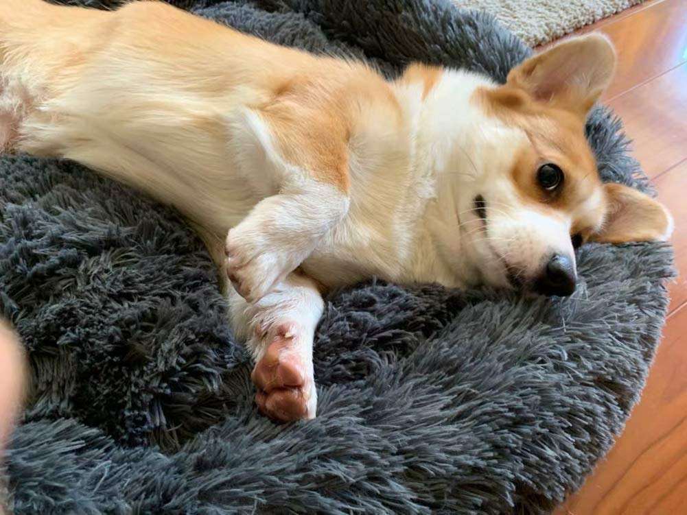 Letto per cani PlushCloud