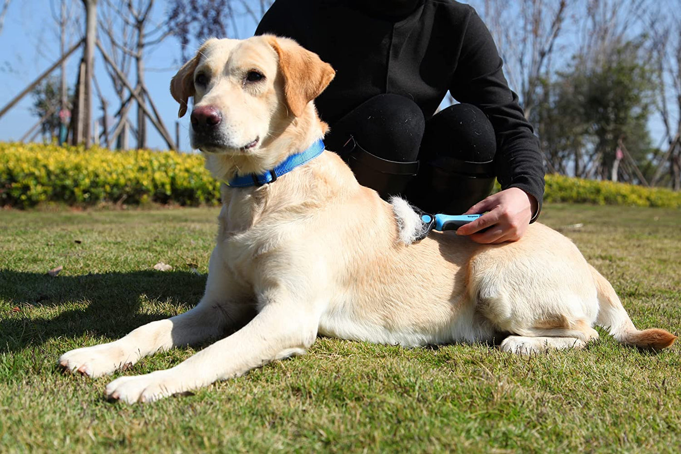 Spazzola per cani a doppia faccia