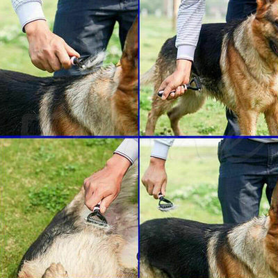 Spazzola per cani a doppia faccia