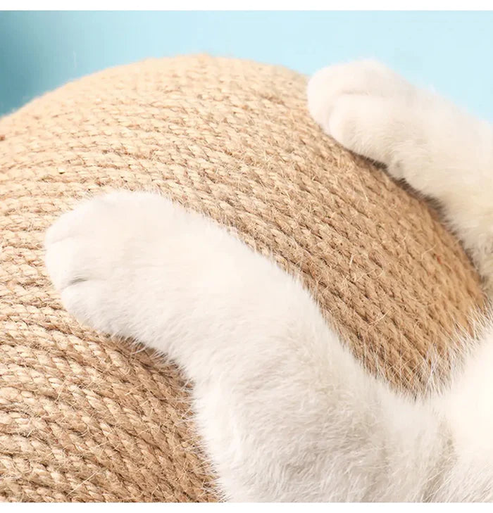 Giocattolo della palla rotante del gatto