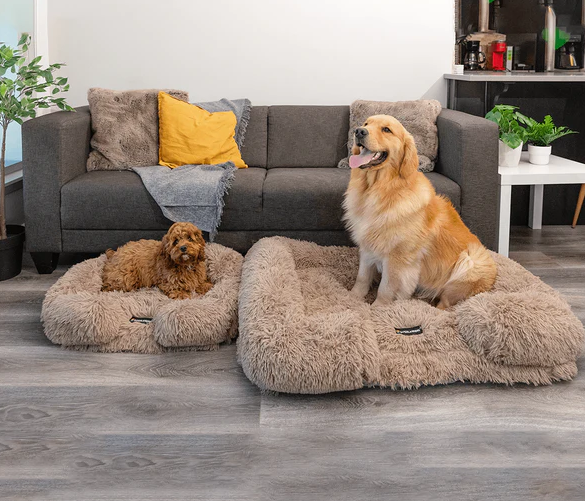 Comfort canino calmante: Divano per cani in memory foam premium