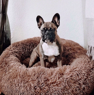 Letto per cani PlushCloud