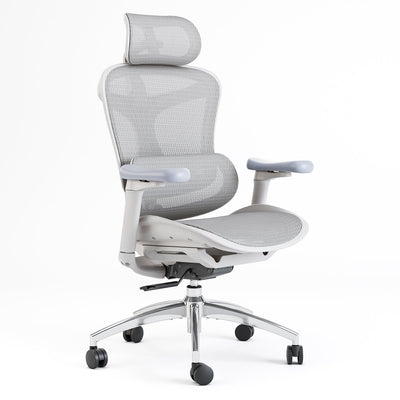 SIHOO Doro-C300 Sedia ergonomica per ufficio