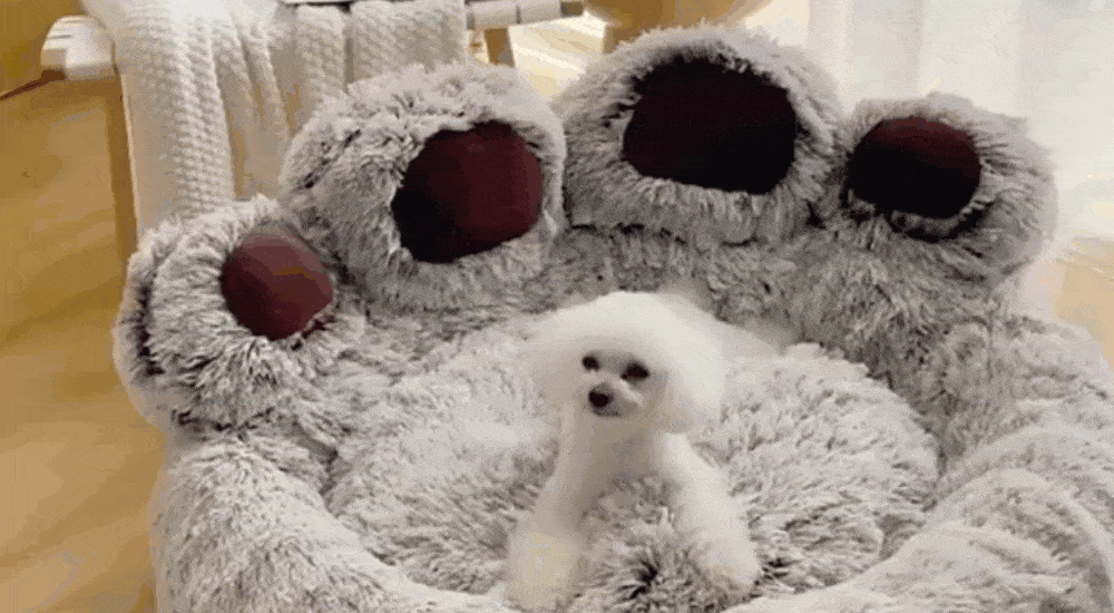 Wabra™, confortevole cuccia a forma di zampa - TT