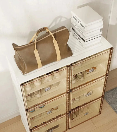 Organizzatore portatile per scarpiere