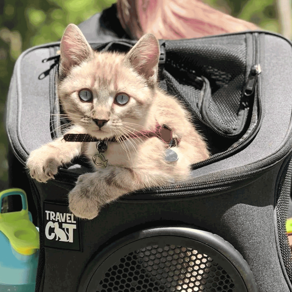 Wabra™ Trasportino borsa per gatti