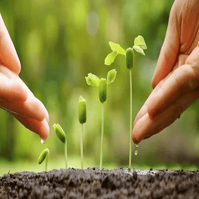 TESORO DEL SUOLO – STIMOLANTE PER PIANTE