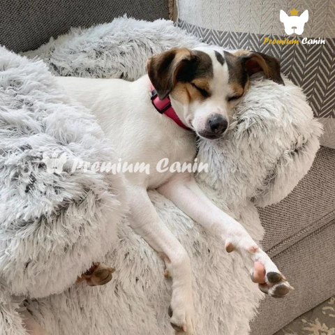 Cuscino per cani rimovibile