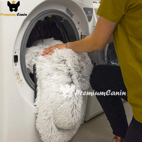 Cuscino per cani rimovibile