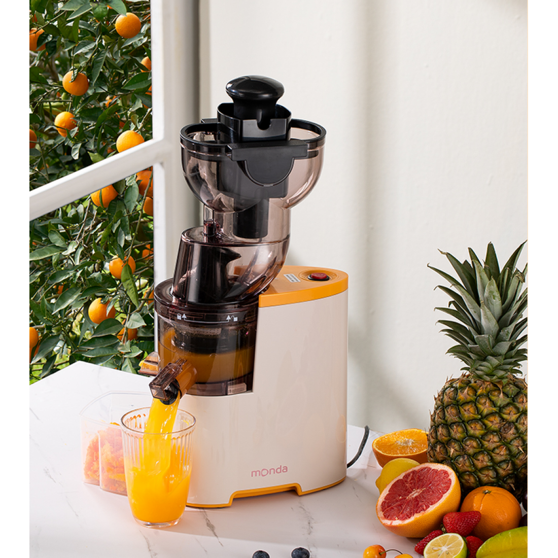 Wabra™ Spremiagrumi Premuim