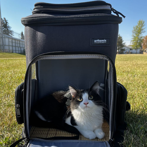 Wabra™ Trasportino borsa per gatti