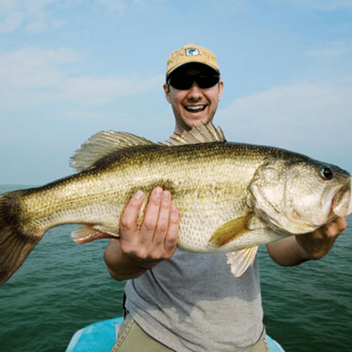 Esca spray liquida per la pesca