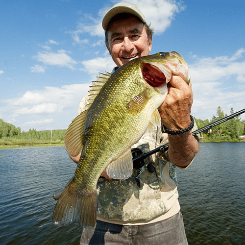 Esca spray liquida per la pesca