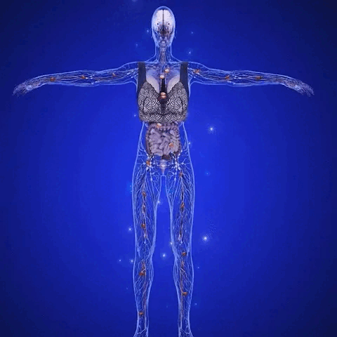 Reggiseno detox  senza fili in pizzo per donna