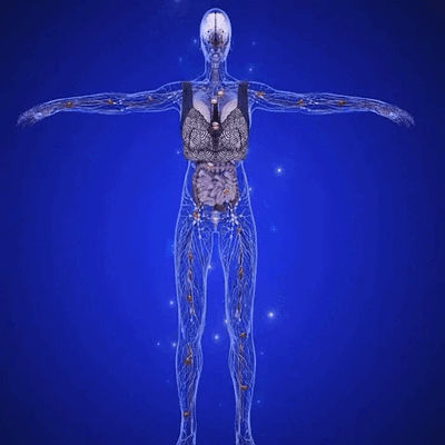 Reggiseno detox  senza fili in pizzo per donna